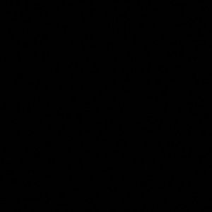 Meet your Posher, Martin